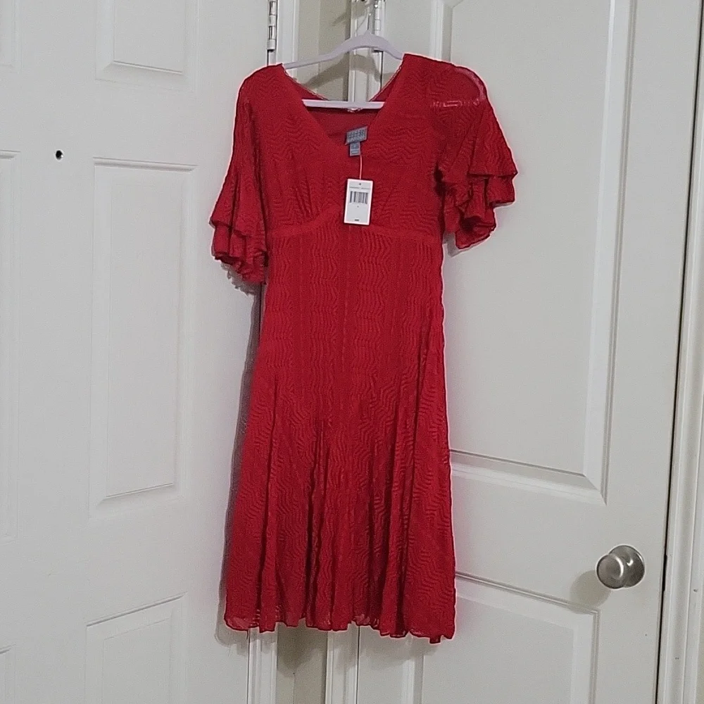 Rabbit Rabbit Rabbit Design Short Sleeve Lace Fit + Flare Dress - Picture 4 of 6